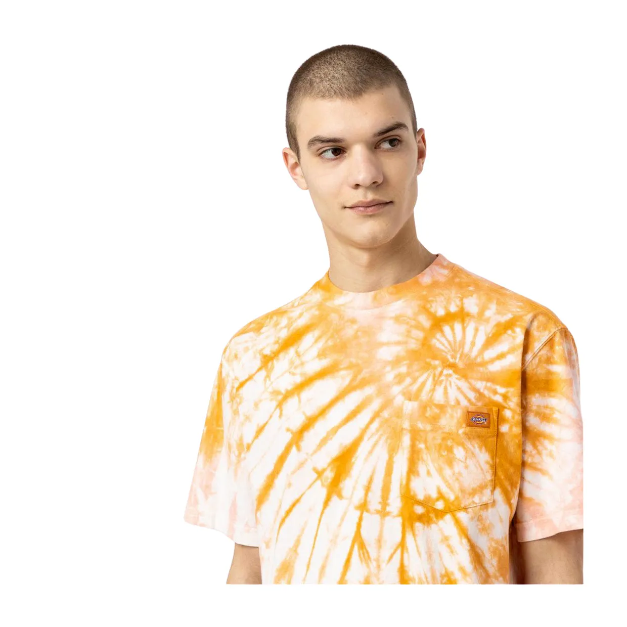 T-shirt Dickies Seatac Arancione Multicolor